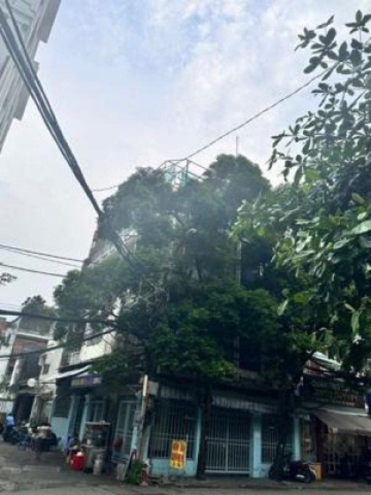 Bán nhà mặt tiền Hậu Giang, Tân Bình