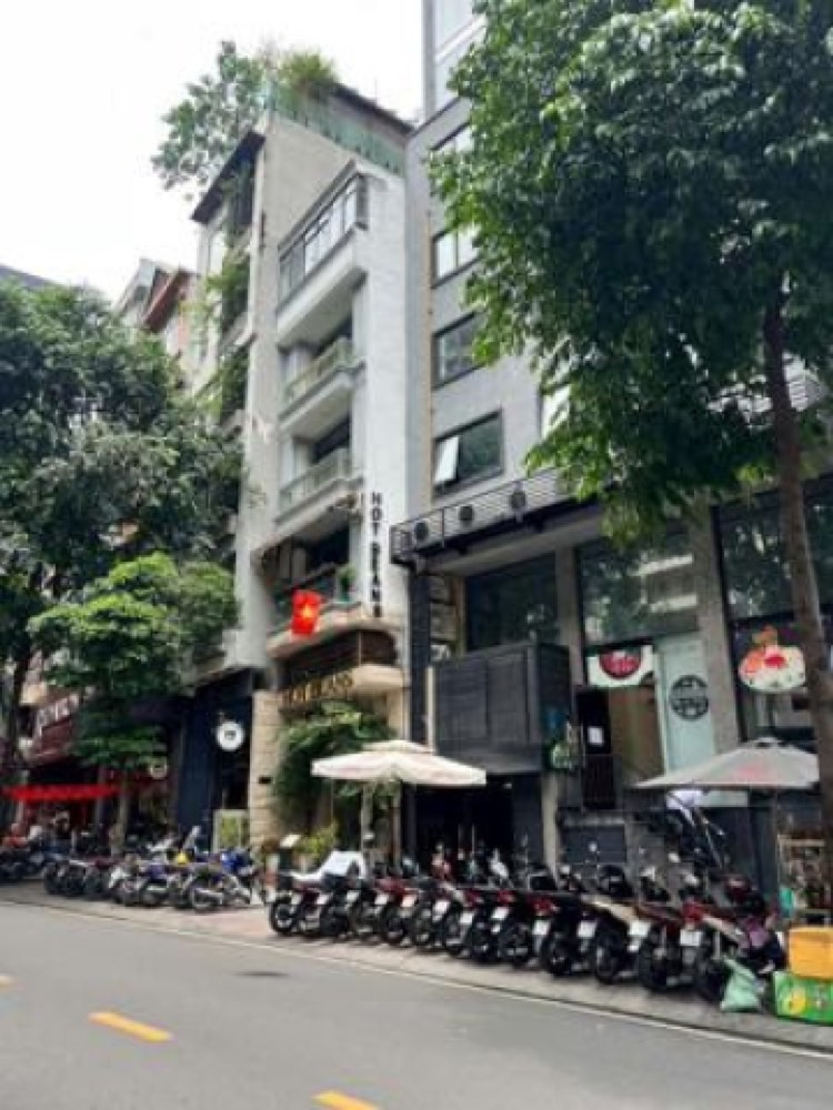 Bán nhà mặt tiền 2A1 Chu Mạnh Trinh, Quận 1 - ảnh 1