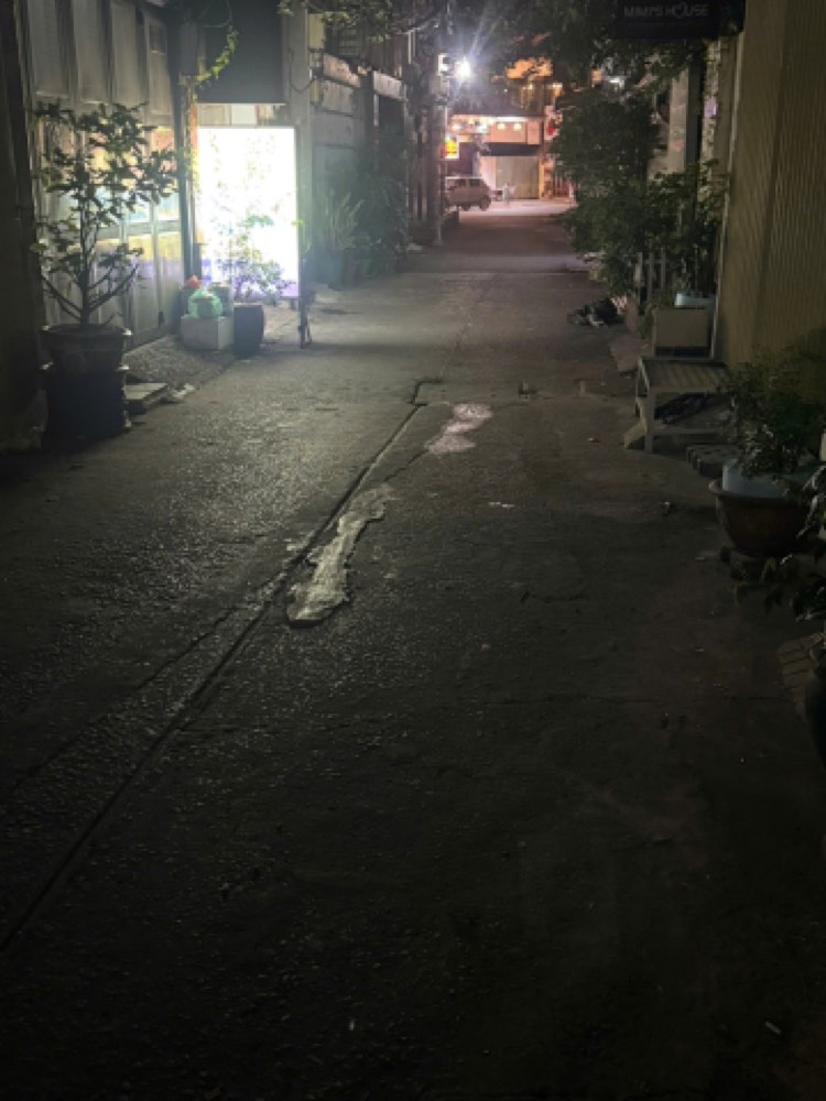 Bán nhà hẻm 232 Cao Thắng, Quận 10 - ảnh 1