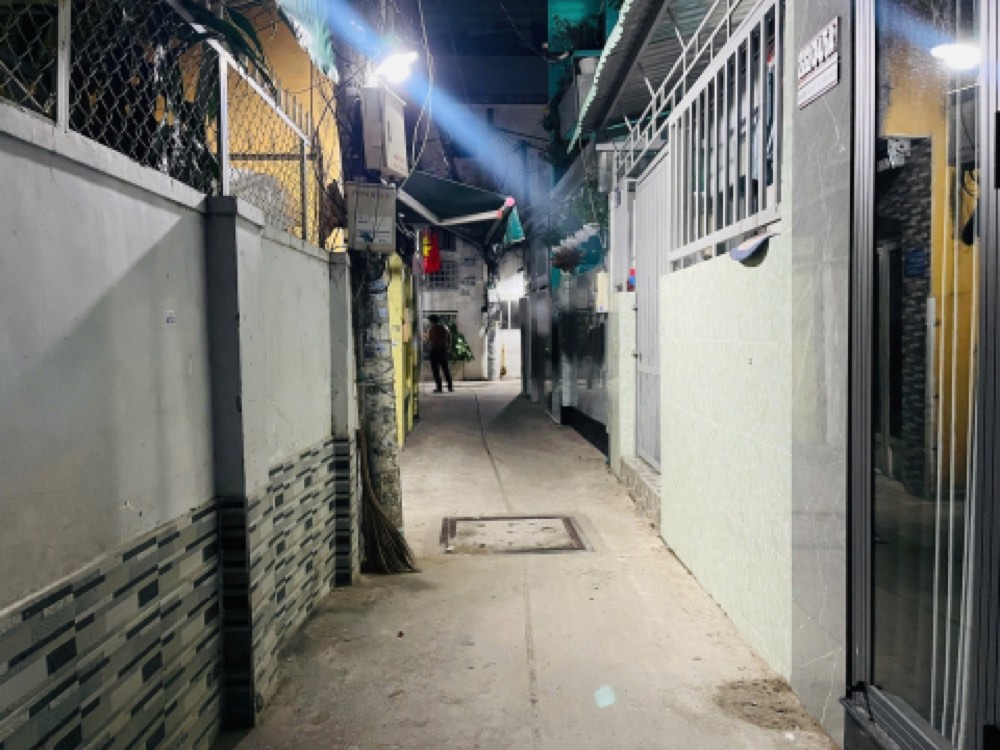 Bán nhà hẻm 222 Bùi Đình Túy, Bình Thạnh - ảnh 1