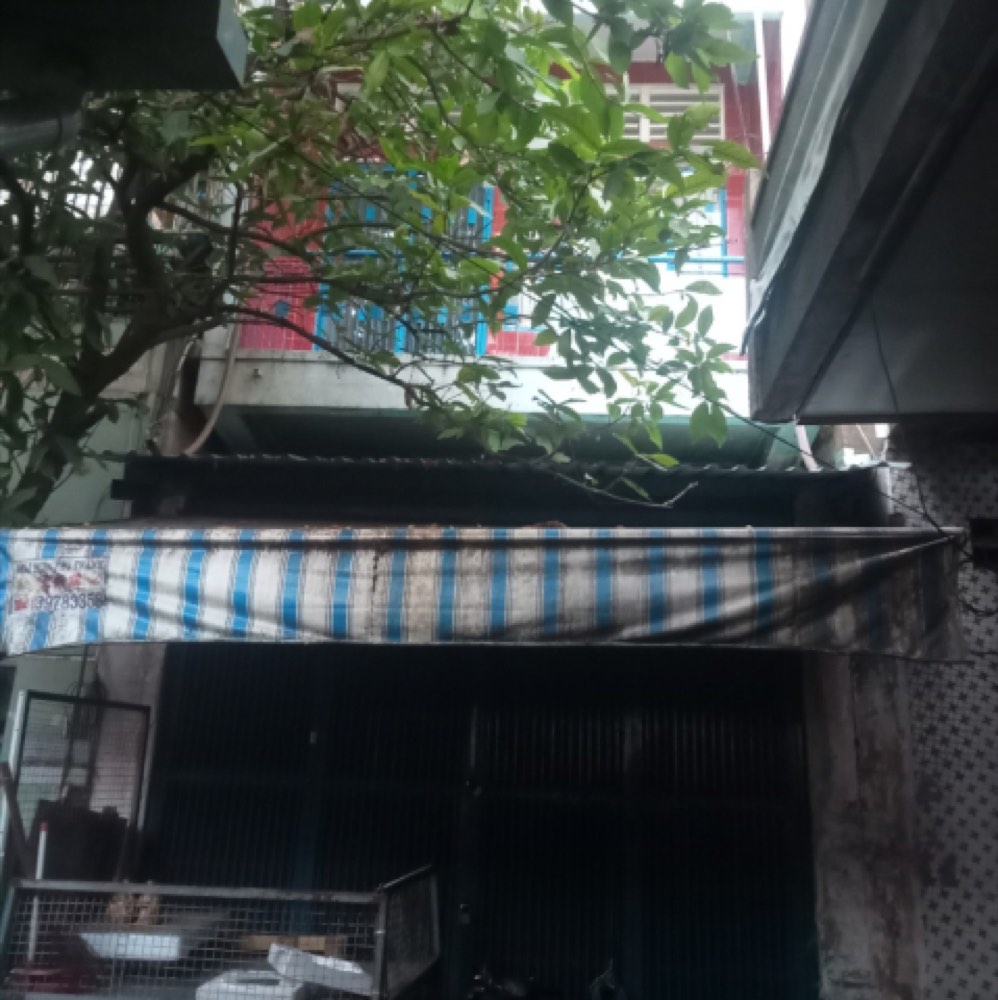 Bán nhà mặt tiền Trương Hán Siêu, Quận 1 - ảnh 1
