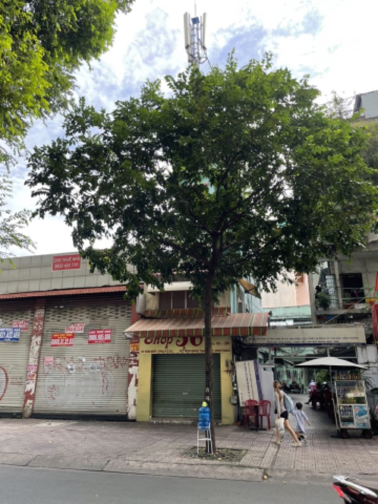 Bán nhà mặt tiền Trần Quốc Thảo, Quận 3 - ảnh chính