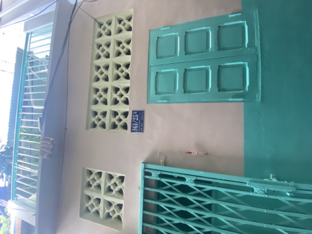 Bán nhà hẻm 161 Bùi Hữu Nghĩa, Quận 5 - ảnh 1