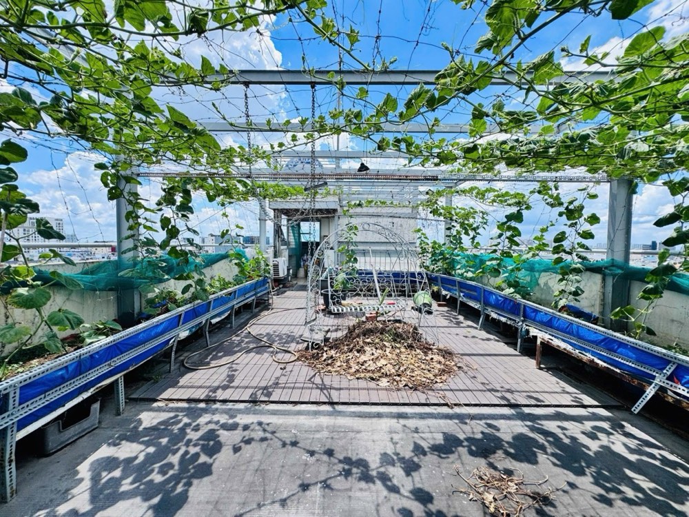 Bán tòa nhà văn phòng mặt tiền Trần Bình Trọng, Bình Thạnh - ảnh 6