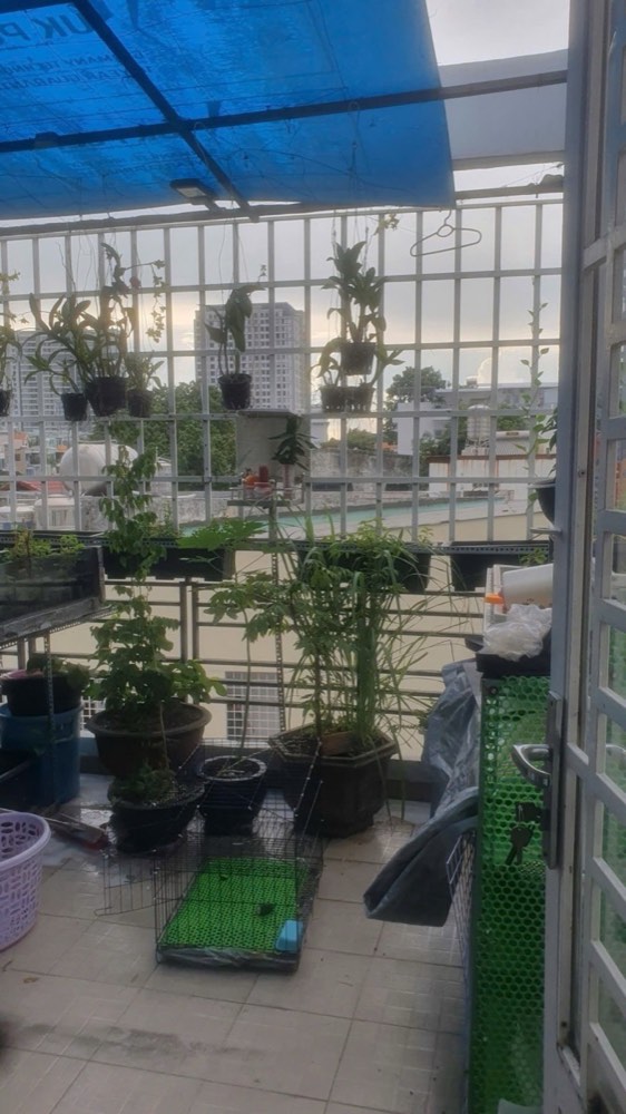 Bán nhà hẻm 29 Bùi Văn Thêm, Phú Nhuận - ảnh 4