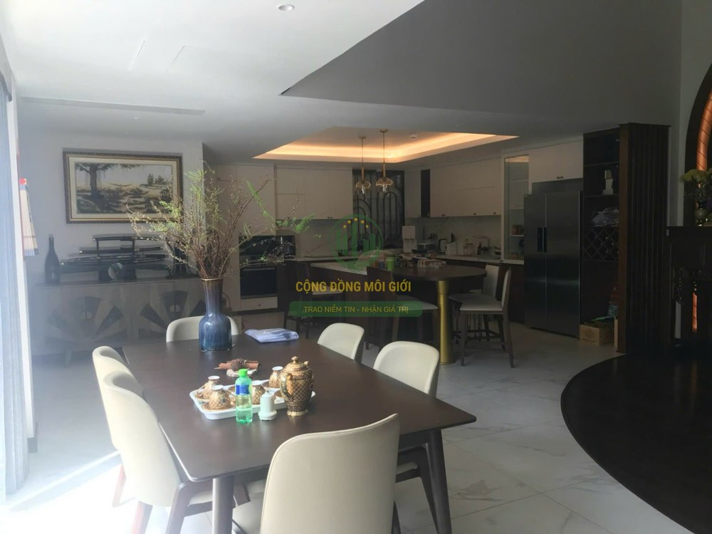 Bán biệt thự hẻm 38 Trần Khắc Chân, Quận 1 - ảnh 3