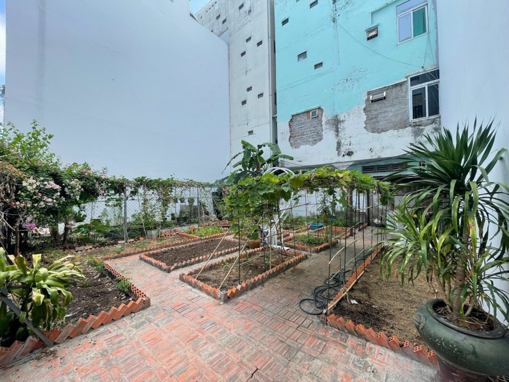 Bán nhà hẻm 145 Bạch Đằng, Tân Bình - ảnh 1