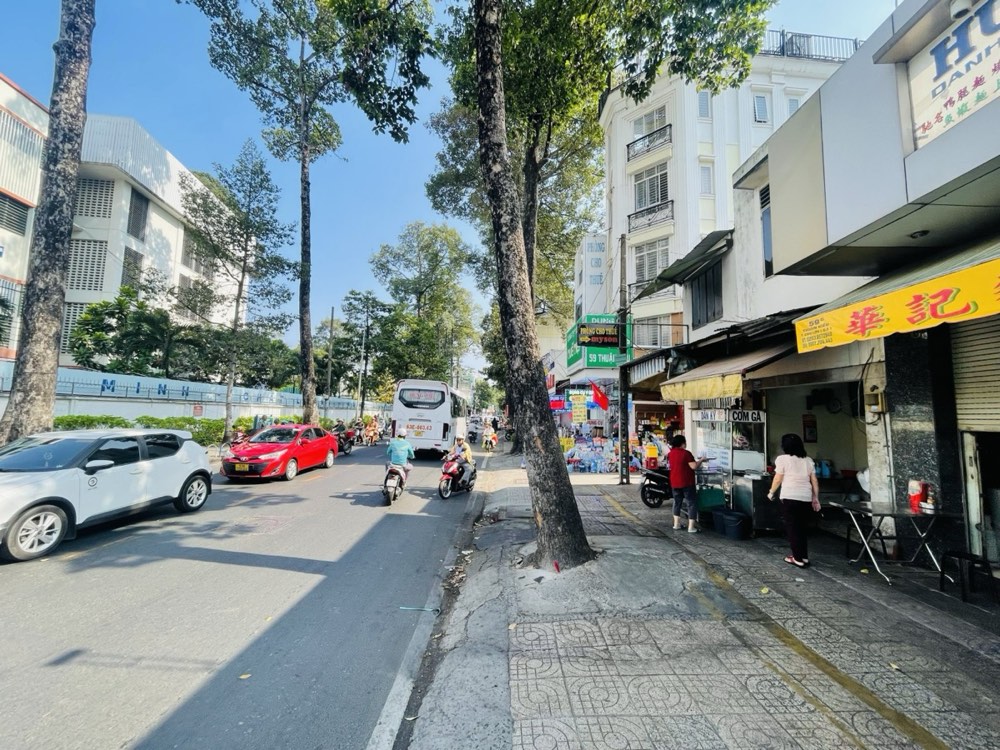 Bán nhà hẻm đường đường Thuận Kiều, Quận 5 - ảnh 2
