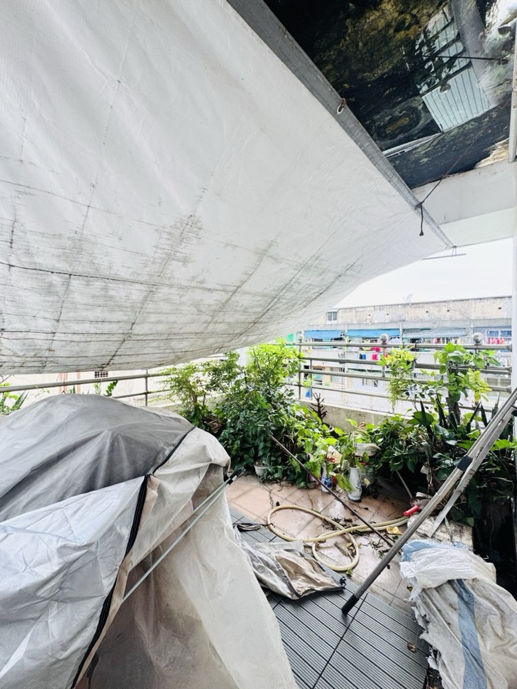Bán nhà hẻm 123 Bà Hạt, Quận 10 - ảnh 6