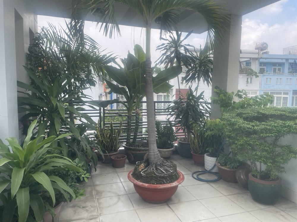 Bán nhà đường Nguyễn xí, Bình Thạnh - ảnh 6