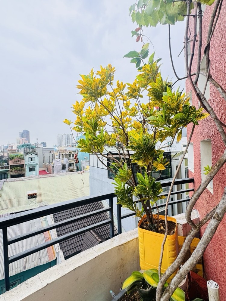 Bán nhà hẻm 69 Đề Thám, Quận 1 - ảnh 4