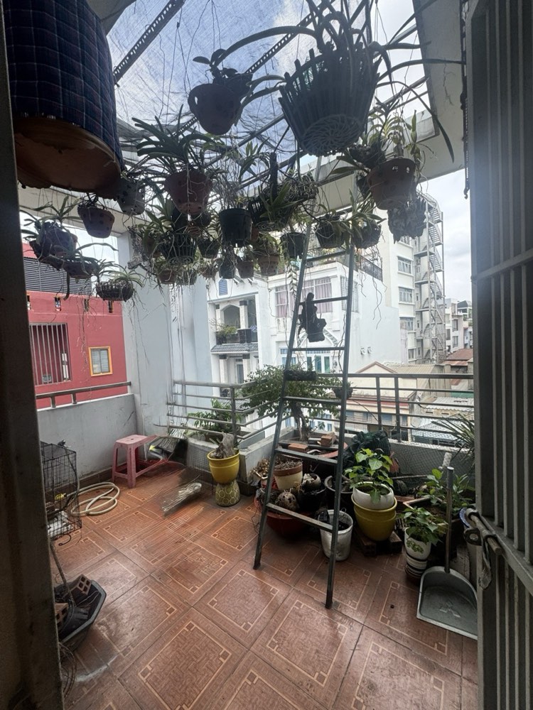 Bán nhà hẻm 1134 Trường Sa, Phú Nhuận - ảnh 4