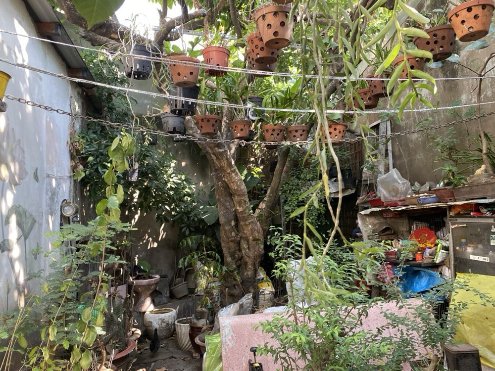 Bán nhà hẻm 257 Lê Quang Định, Bình Thạnh - ảnh 1