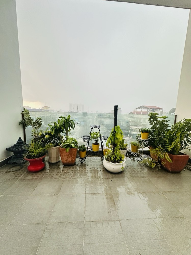 Bán nhà đường Quảng Đức, Phú Nhuận - ảnh 7