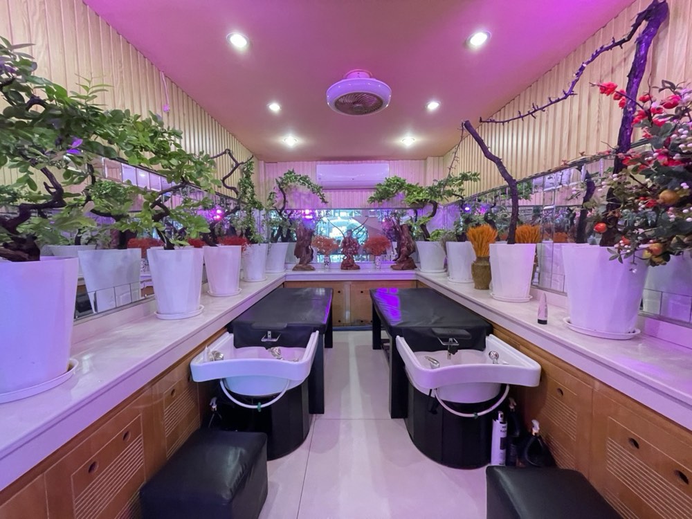 Bán nhà mặt tiền Huỳnh Văn Bánh, Phú Nhuận - ảnh 2