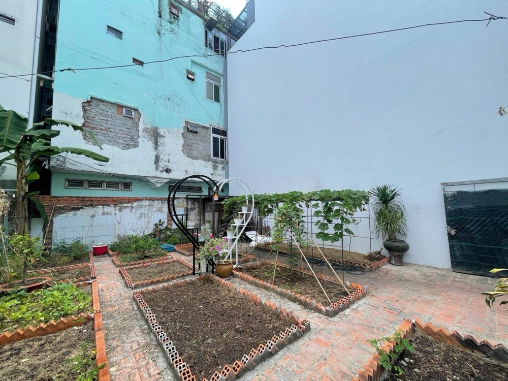 Bán nhà hẻm 145 Bạch Đằng, Tân Bình - ảnh 4