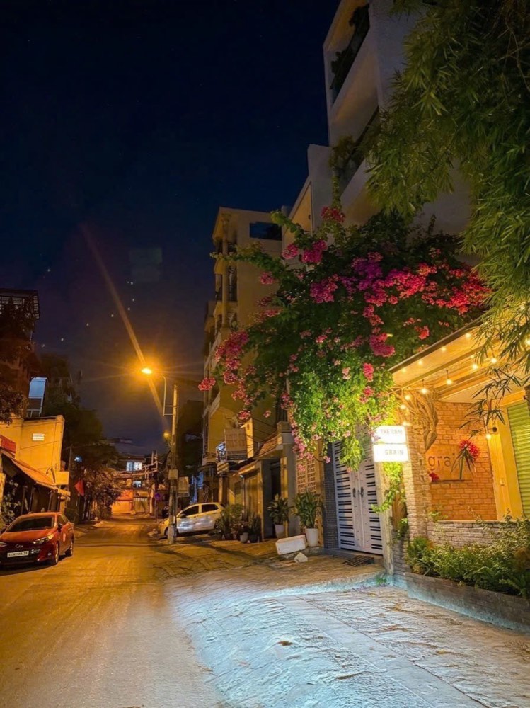 Bán nhà mặt tiền Nguyễn An Ninh, Bình Thạnh - ảnh 2