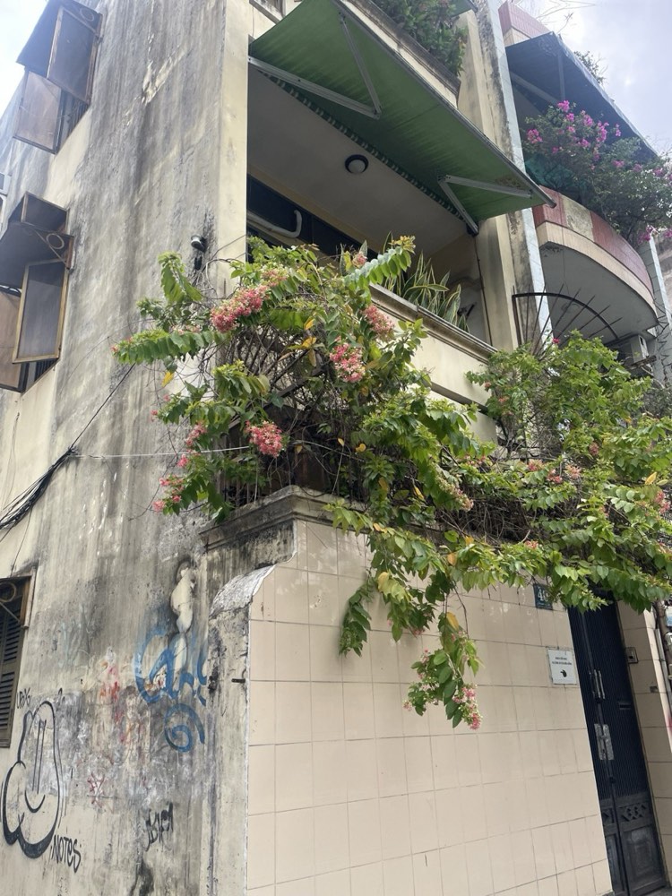 Bán nhà hẻm đường Phan Liêm, Quận 1 - ảnh 5