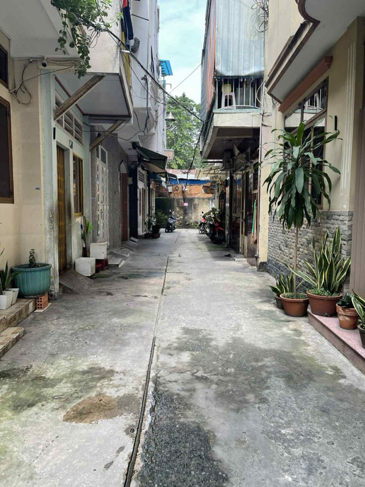 Bán nhà hẻm 125 Trần Bình Trọng, Quận 5 - ảnh 3