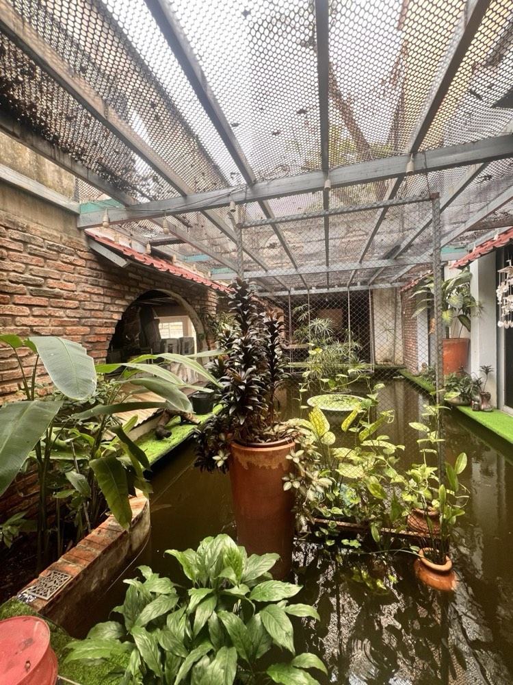 Bán nhà hẻm 211 Hoàng Hoa Thám, Phú Nhuận - ảnh 3